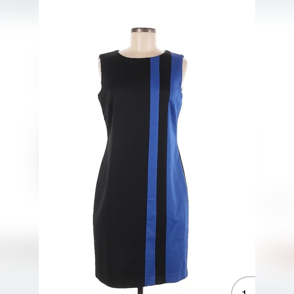 Ellen Tracy Dress